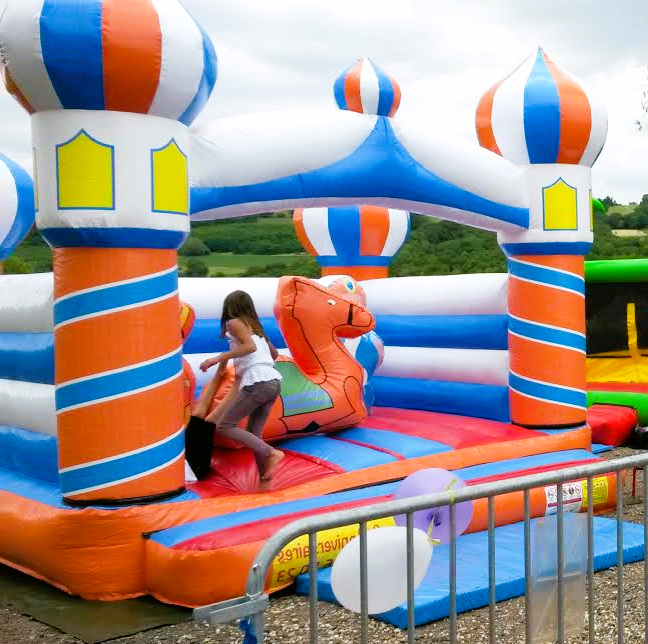 Location de château et jeux gonflable à Lyon 