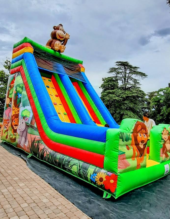 Location de toboggans gonflables à Lyon , Villefranche sur Saône