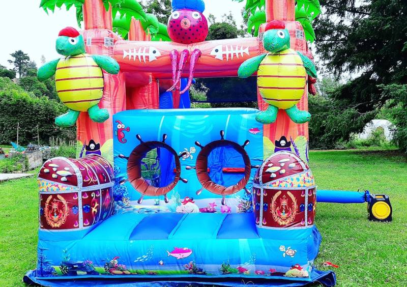 Château gonflable à Lyon proche de Villefranche sur Saône