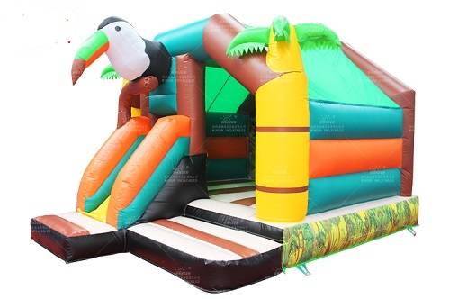 Location de châteaux gonflables et structures gonflables à Lyon pour tous vos évènements