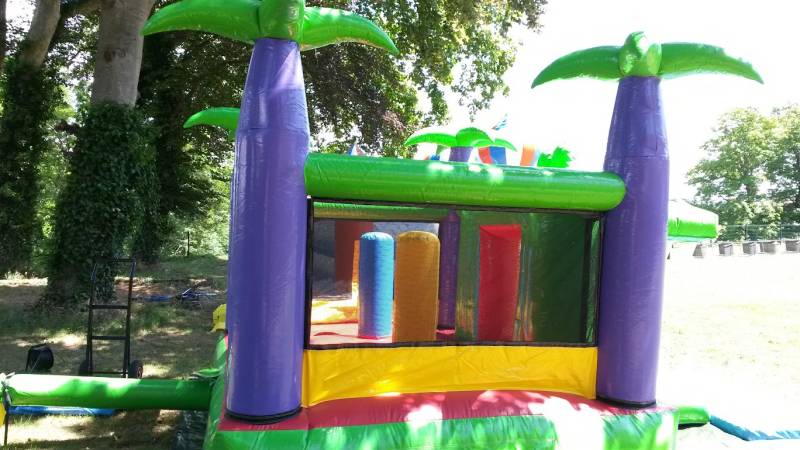 Location château gonflable CROCODILE à Villefranche-Sur-Saône proche de Lyon