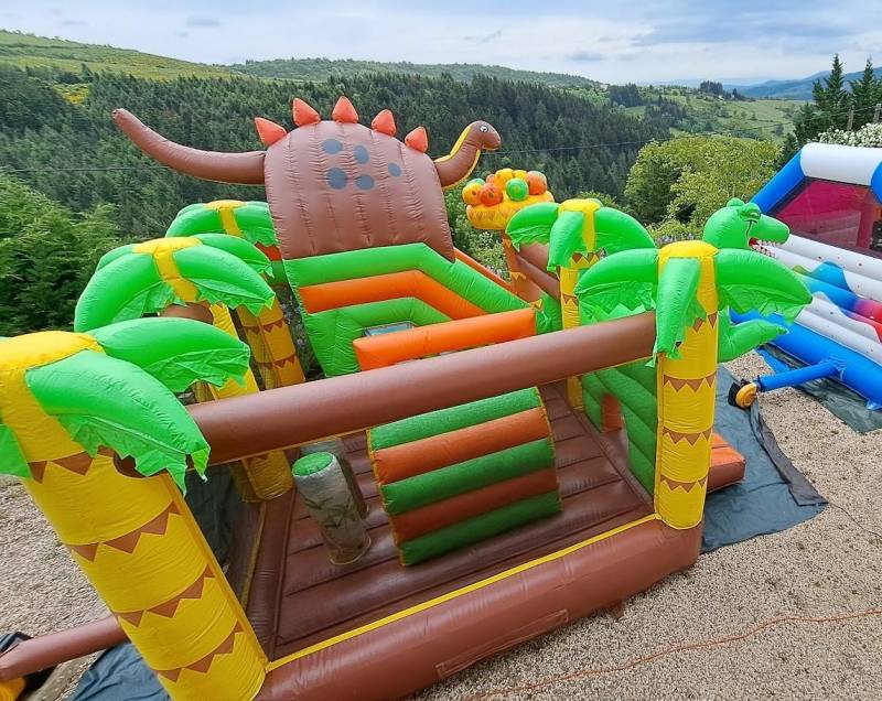 Château gonflable à Lyon 