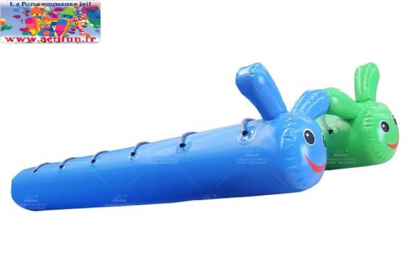 Location de jeux gonflables à Lyon , Rhône Alpes