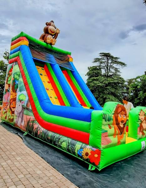 Location de toboggan gonflable à  Lyon 69