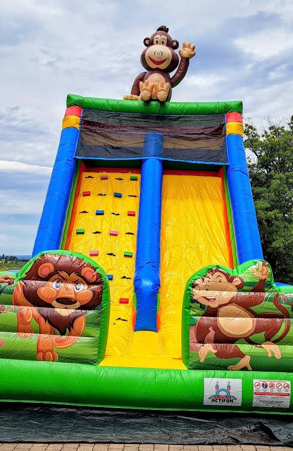 Location de toboggan à Lyon