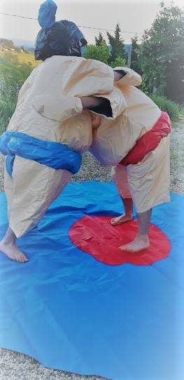 Costumes de sumos pour combat à Lyon