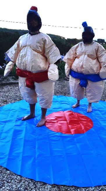 Sumos pas cher à  Villefranche sur Saône