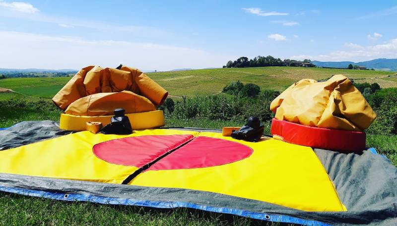 Costumes de sumos à Lyon 