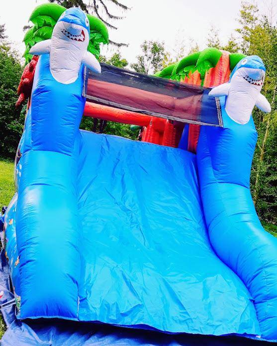 Location de structure gonflable à Lyon en Rhône Alpes